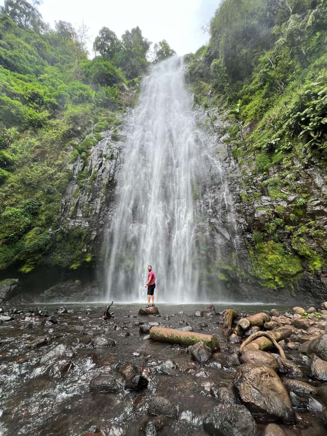 Kilimanjaro: Maasai Village Visit, Waterfalls, & Coffee Tour - Morning pickup from Arusha, Moshi, or the airport