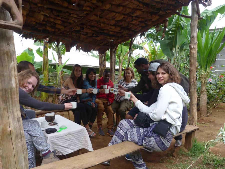 Kilimanjaro: Village Walk, Coffee Tour, Waterfall, and Lunch - Should you book the Materuni village tour?