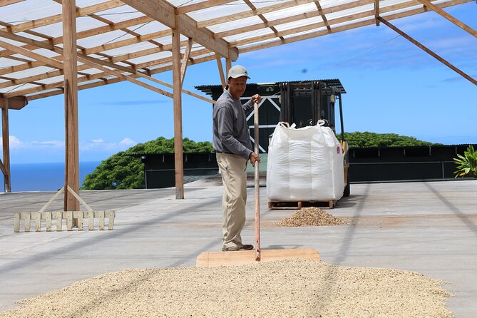 Kona Coffee Farm Tour from Tree to Tasting Room - Starting Under the Coffee Trees at Bay View Farm