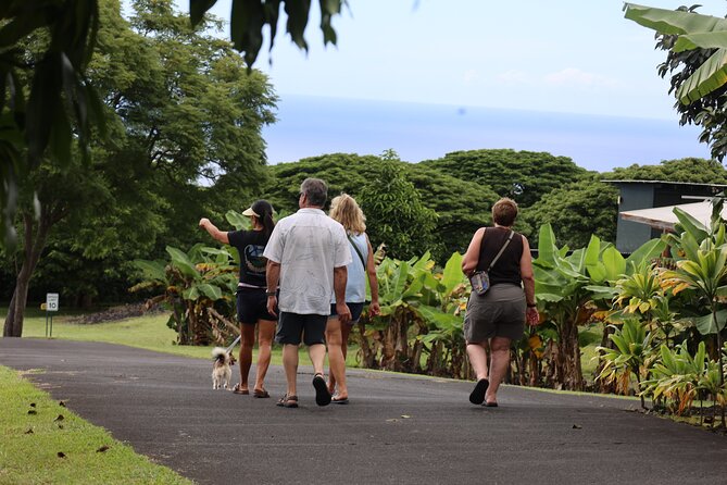 Kona Coffee Farm Tour from Tree to Tasting Room - Finishing in the Roasting Room and Tasting Area