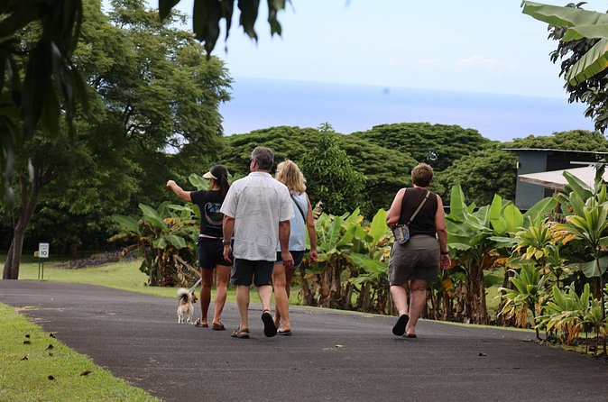 Kona Coffee Farm Tour from Tree to Tasting Room - The Gift Shop, Discount, and Coffee to Take Home