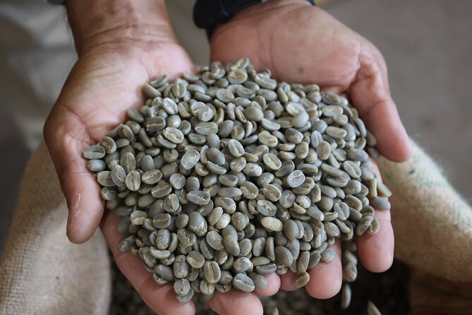 Kona Coffee Farm Tour from Tree to Tasting Room - Booking, Cancellation, and Practical Details