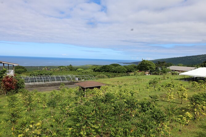 Kona Coffee Farm Tour from Tree to Tasting Room - A Short Walk Through Fruit Trees and Farm Life