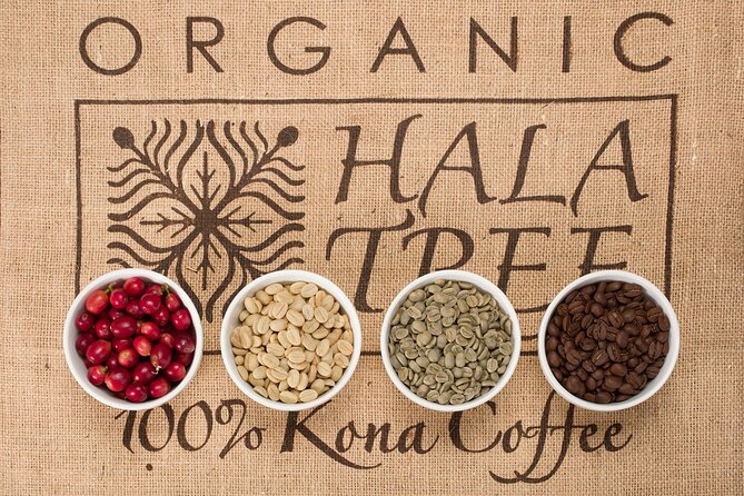 Kona Coffee Tasting: A Farm to Cup Experience - The farm story behind the cup