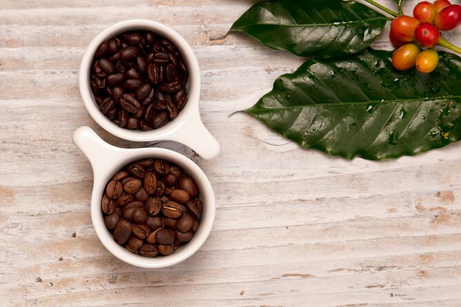 Kona Coffee Tasting: A Farm to Cup Experience - How to taste the coffee properly