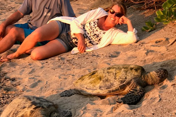 Kona Shore Excursion: Sea Turtles, Historic Kona & Coffee - The Painted Church near Captain Cook