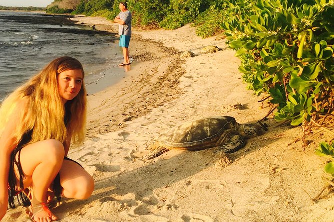 Kona Shore Excursion: Sea Turtles, Historic Kona & Coffee - Kaloko-Honokohau National Historical Park