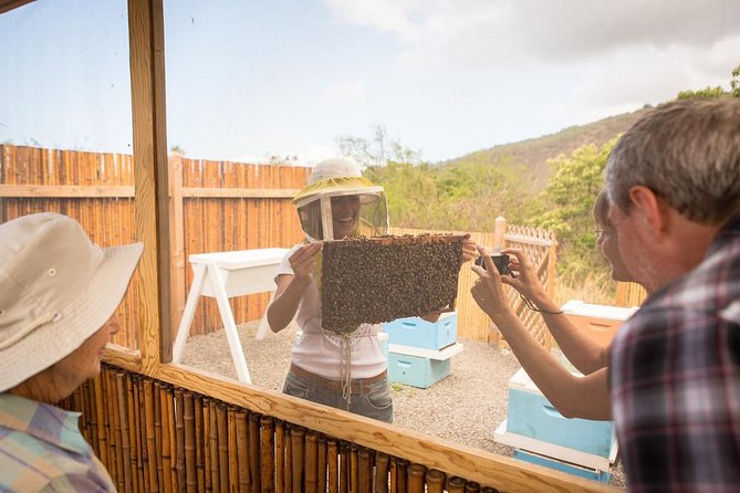 Kona Tour: Bee Farm, Kona Coffee, and National Historical Parks - A long Kona day with a useful purpose