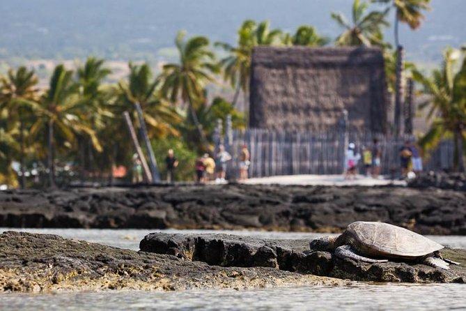 Kona Tour: Bee Farm, Kona Coffee, and National Historical Parks - What the van ride adds to the day