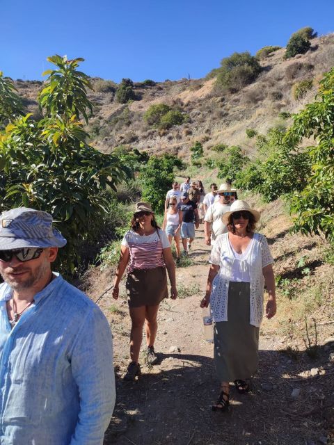 La Herradura Coffee Farm: tour in Europe's only plantation - Walking through the coffee plants