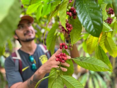 Las Terrenas: Private Coffee Trail ATV Tour in Samana
