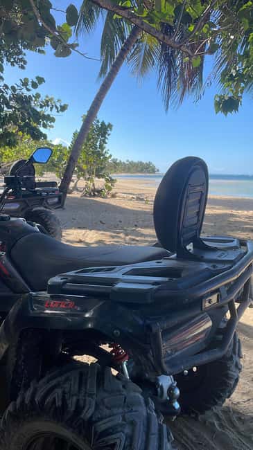 Las Terrenas: Private Coffee Trail ATV Tour in Samana - Mangroves, Beach, and a Calm Swim