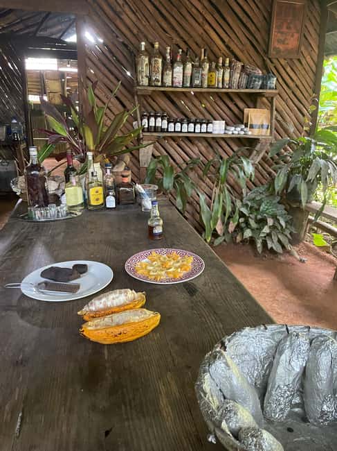 Las Terrenas: Private Coffee Trail ATV Tour in Samana - Who Will Enjoy This Tour Most?