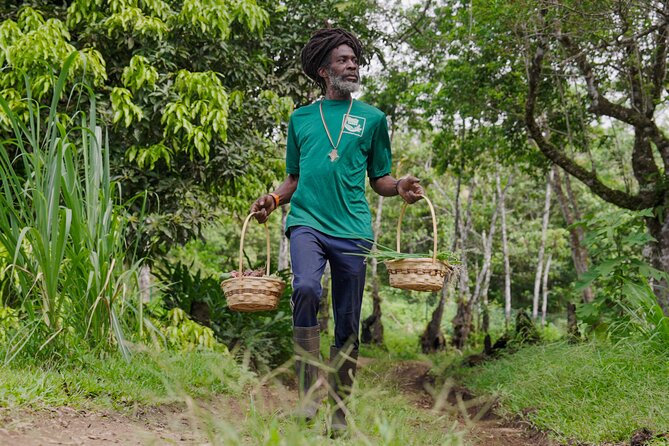 Liamuiga Natural Farm Tour - St.Kitts' Coffee Farm - Walking the property with Thime