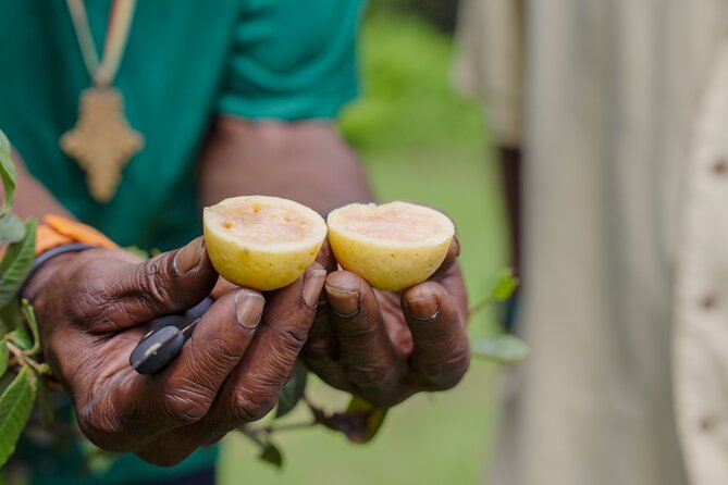 Liamuiga Natural Farm Tour - St.Kitts' Coffee Farm - The seasonal meal is more than a lunch break