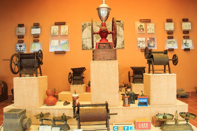 Local Coffee Tasting and Cultural Experience - Key points at a glance