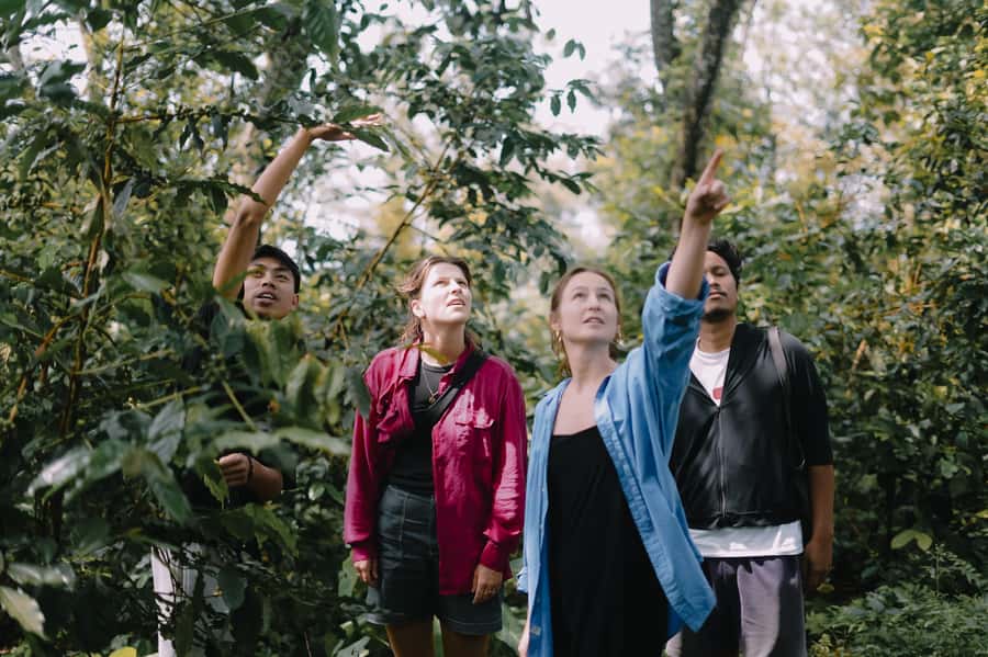Lombok: Coffee Plantation Tour With Tasting - Seeing natural and honey processing in the warehouse