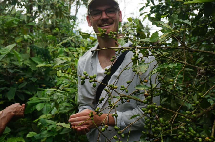 Lombok: Coffee Plantation Tour With Tasting - One hour in the greenhouse with drying beans