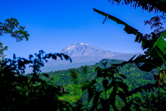 Maasai village visit, Materuni waterfalls & coffee experience - What the Kilimanjaro view really means