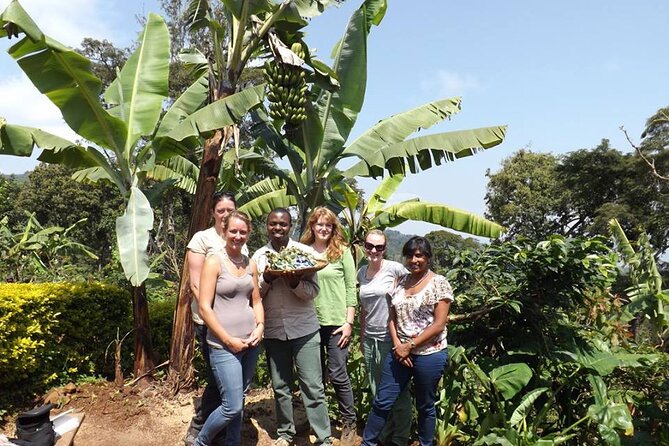 Marangu waterfall & Coffee making Cultural Tour | BURIGI CHATO SAFARIS CO LTD - Practical advice for a smoother day