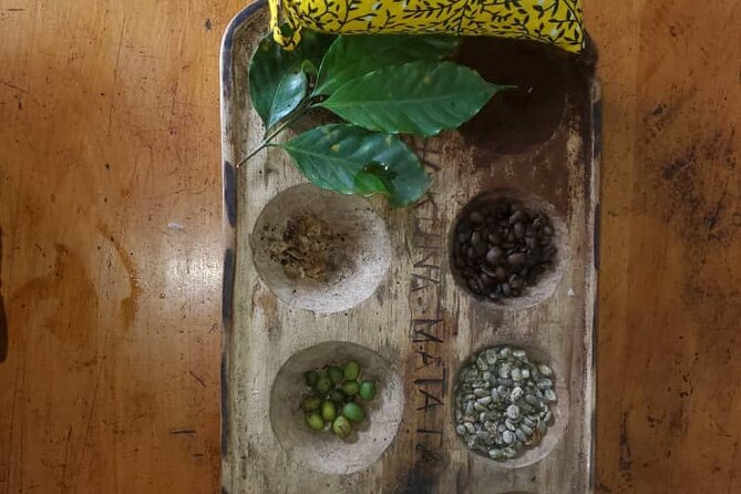 Materuni (Coffee Tour) and Chemka (Kikuletwa Tour) - Coffee roasting, singing, and a local lunch