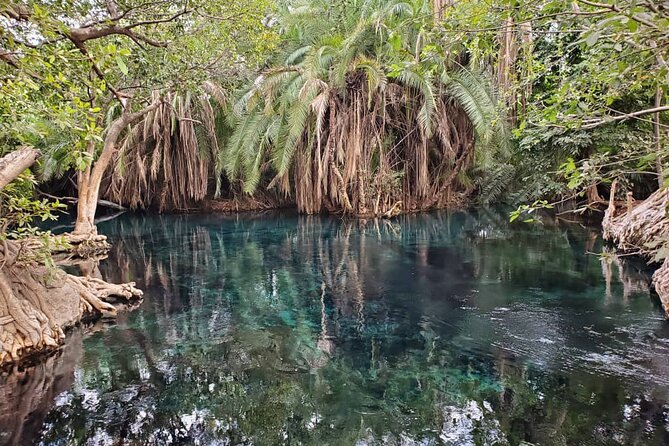 Materuni (Coffee Tour) and Chemka (Kikuletwa Tour) - What Chemka Hot Springs is really like