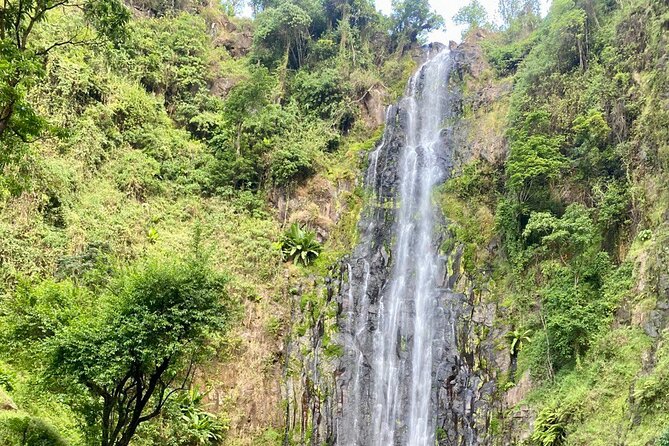 Materuni (Coffee Tour) and Chemka (Kikuletwa Tour) - Food, drinks, water, and what the $100 covers