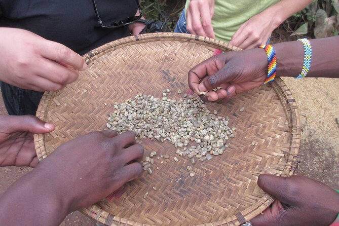 Materuni Thundering Waterfalls,Coffee Experience with Moshi Town Tour - From Moshi to Materuni at 1,800 meters