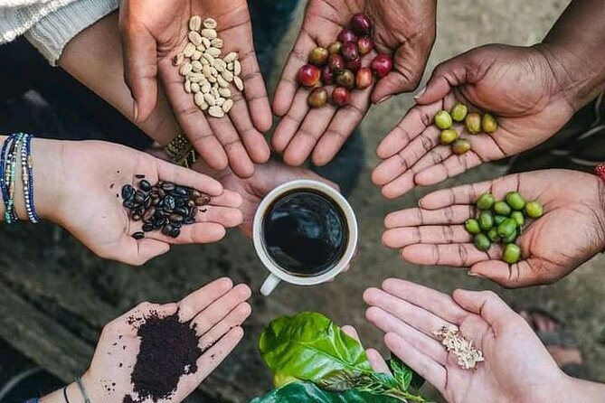 Materuni Waterfall Coffee Tour and Chemka Hot Springs Experience - Key reasons to consider this day trip