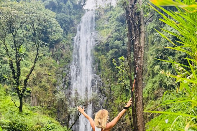 Materuni Waterfall Coffee Tour and Chemka Hot Springs Experience - Walking through Materuni’s coffee country