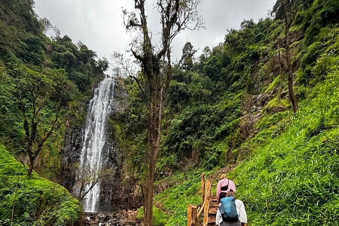 Materuni Waterfall Coffee Tour and Chemka Hot Springs Experience - Who will get the most from this experience?