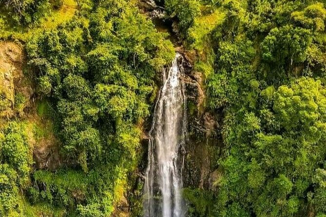 Materuni Waterfall Coffee Tour and Chemka Hot Springs Experience - Materuni Waterfall and its cold mountain water
