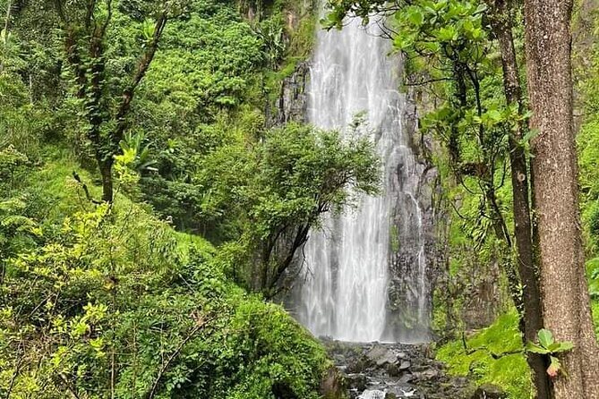 Materuni waterfall , coffee tour and hotsprings (chemka ) - Why This Moshi Day Trip Works So Well