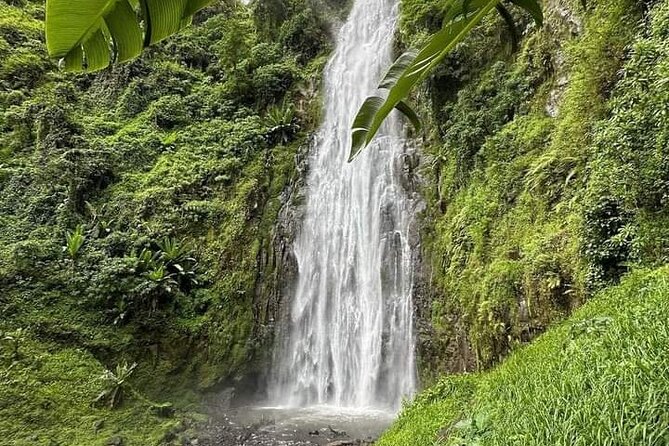 Materuni waterfall , coffee tour and hotsprings (chemka ) - The Drive to Materuni Village at 8:00 AM