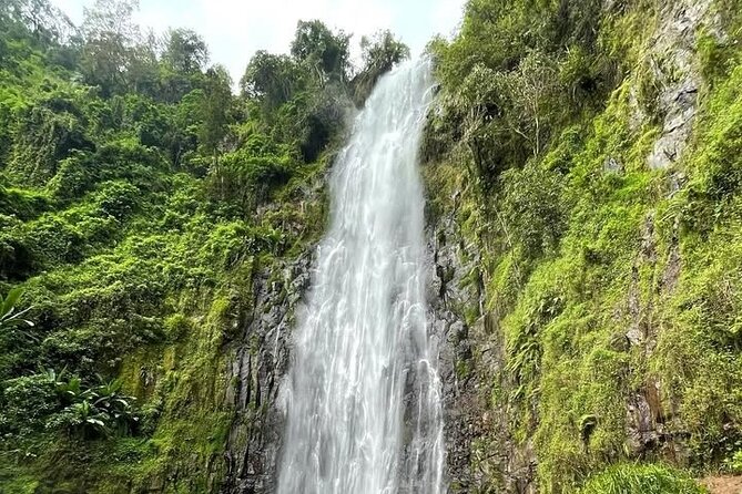 Materuni waterfall , coffee tour and hotsprings (chemka ) - Roasting Arabica Coffee With the Chagga Community