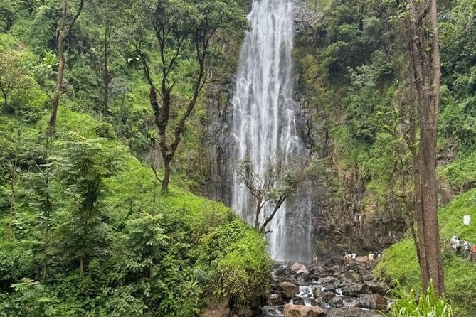Materuni waterfall , coffee tour and hotsprings (chemka ) - Is $40 a Fair Price?