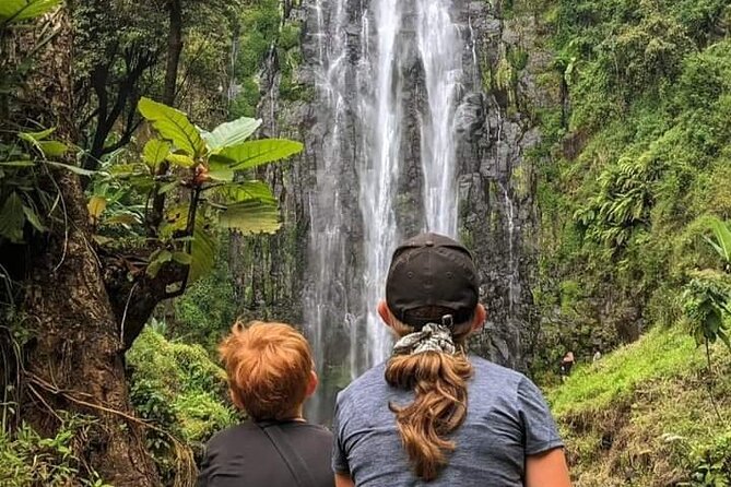 Materuni waterfall , coffee tour and hotsprings (chemka ) - Walking Through the Forest to the 80-Meter Waterfall