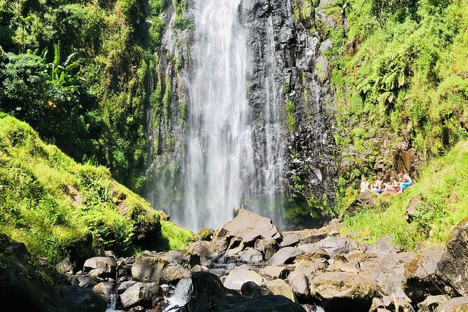 Materuni Waterfall, Coffee Tour and Picnic Hot Lunch - The walk to an 80 to 90 meter waterfall