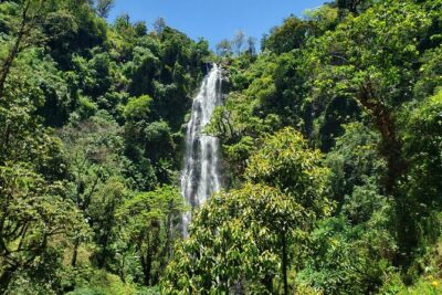Materuni Waterfall, Coffee Tour and Picnic Hot Lunch