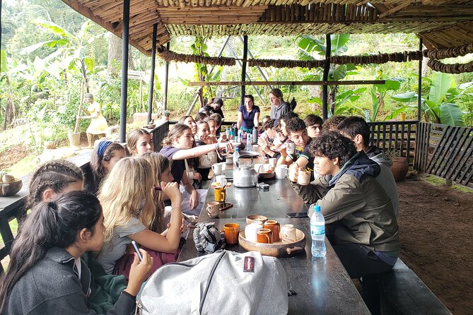 Materuni Waterfall, Coffee Tour and Picnic Hot Lunch - Who will enjoy this day most