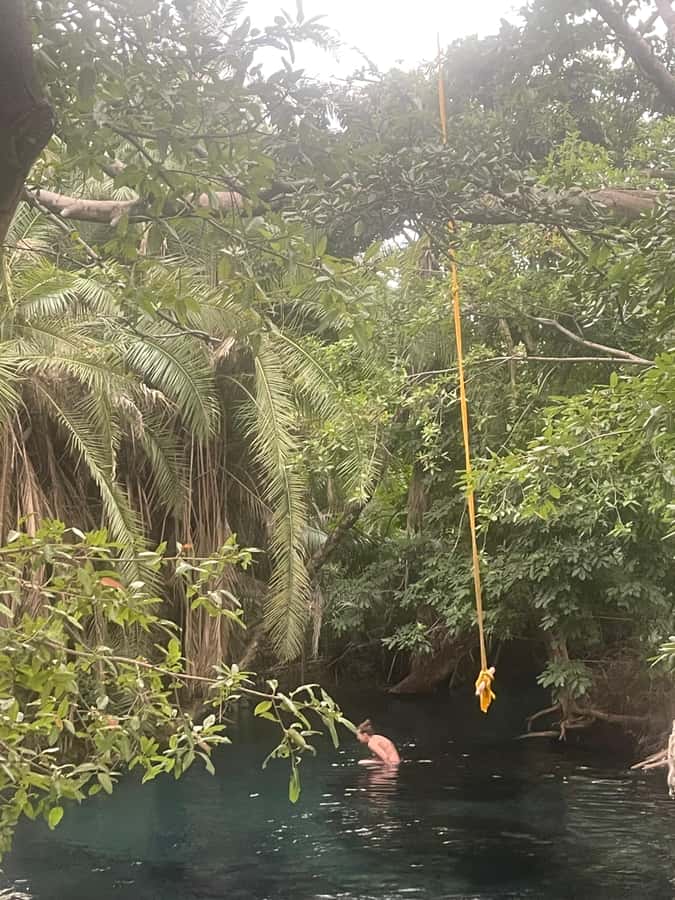 Materuni Waterfall, Coffee Tour & Hot Springs- Maasai tour - Lunch and the change of pace