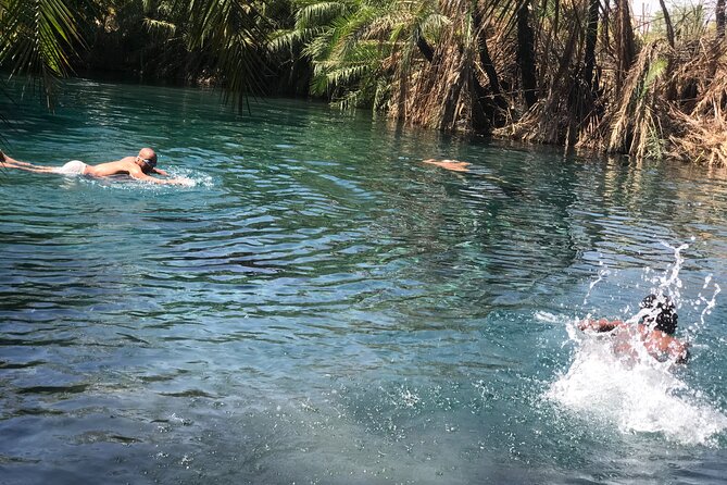 Materuni waterfall - coffee tour OR Chemka hot spring Tour - How the private format changes the day