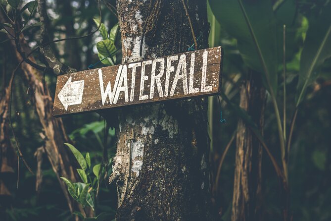 Materuni Waterfall Hike & Coffee Tour - Four things to know before you book