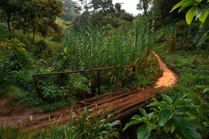 Materuni Waterfall Hike & Coffee Tour - The drive from Arusha to Materuni village
