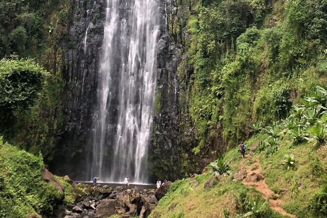 Materuni Waterfall Hike & Coffee Tour - The waterfall, swimming, and realistic expectations