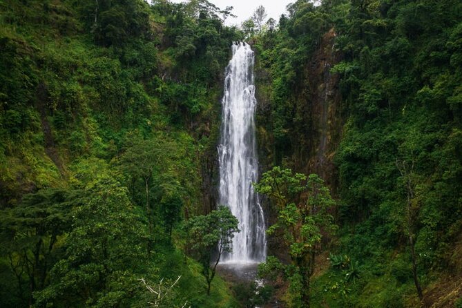 Materuni Waterfall Hike & Coffee Tour - Coffee from plant to cup