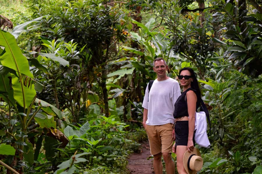 Materuni Waterfalls, Chemka Hot Springs, &/Or Coffee Tour - Six details to know before you go