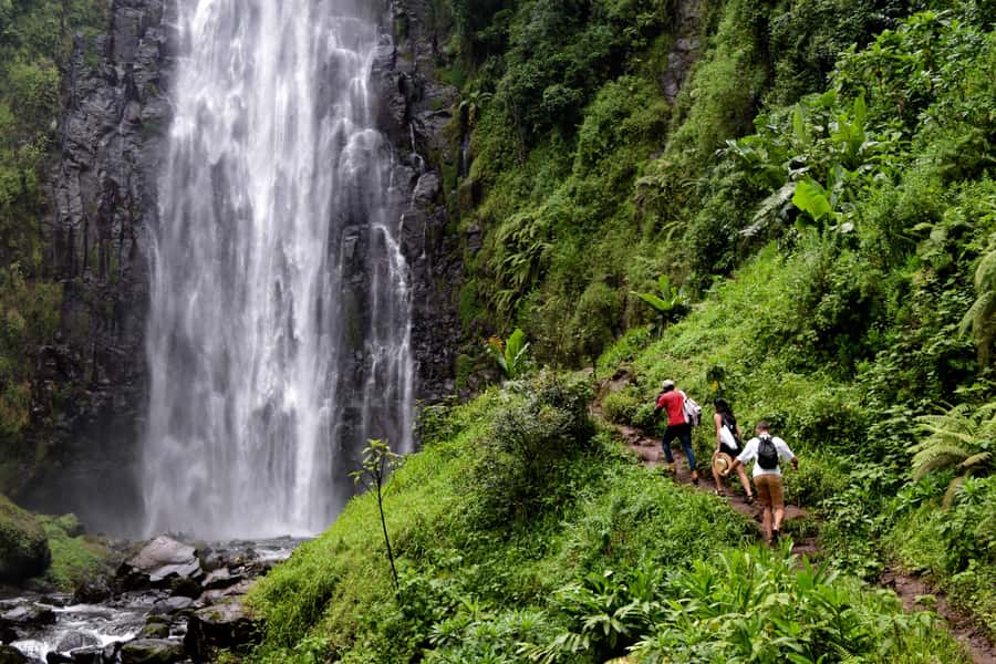 Materuni Waterfalls, Chemka Hot Springs, &/Or Coffee Tour - A full day between Moshi, Arusha, and Kilimanjaro