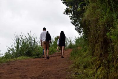 Materuni Waterfalls, Chemka Hot Springs, &/Or Coffee Tour