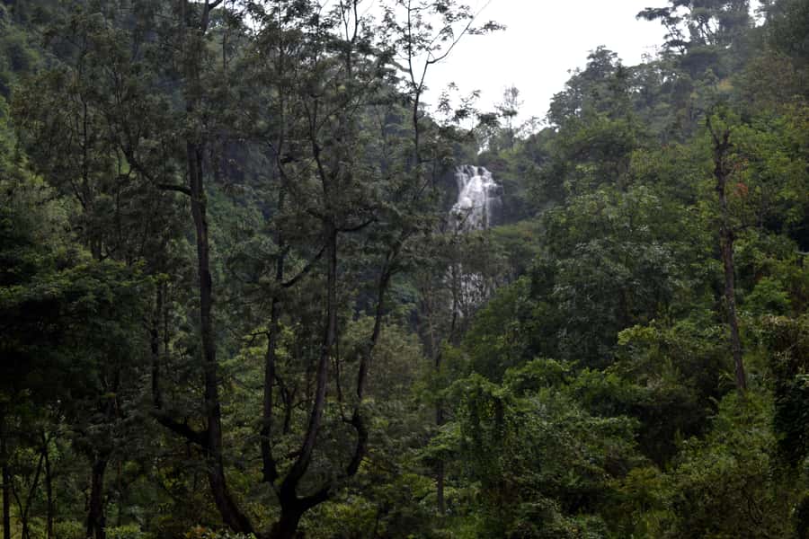 Materuni Waterfalls, Chemka Hot Springs, &/Or Coffee Tour - Chemka Hot Springs and the rope swing